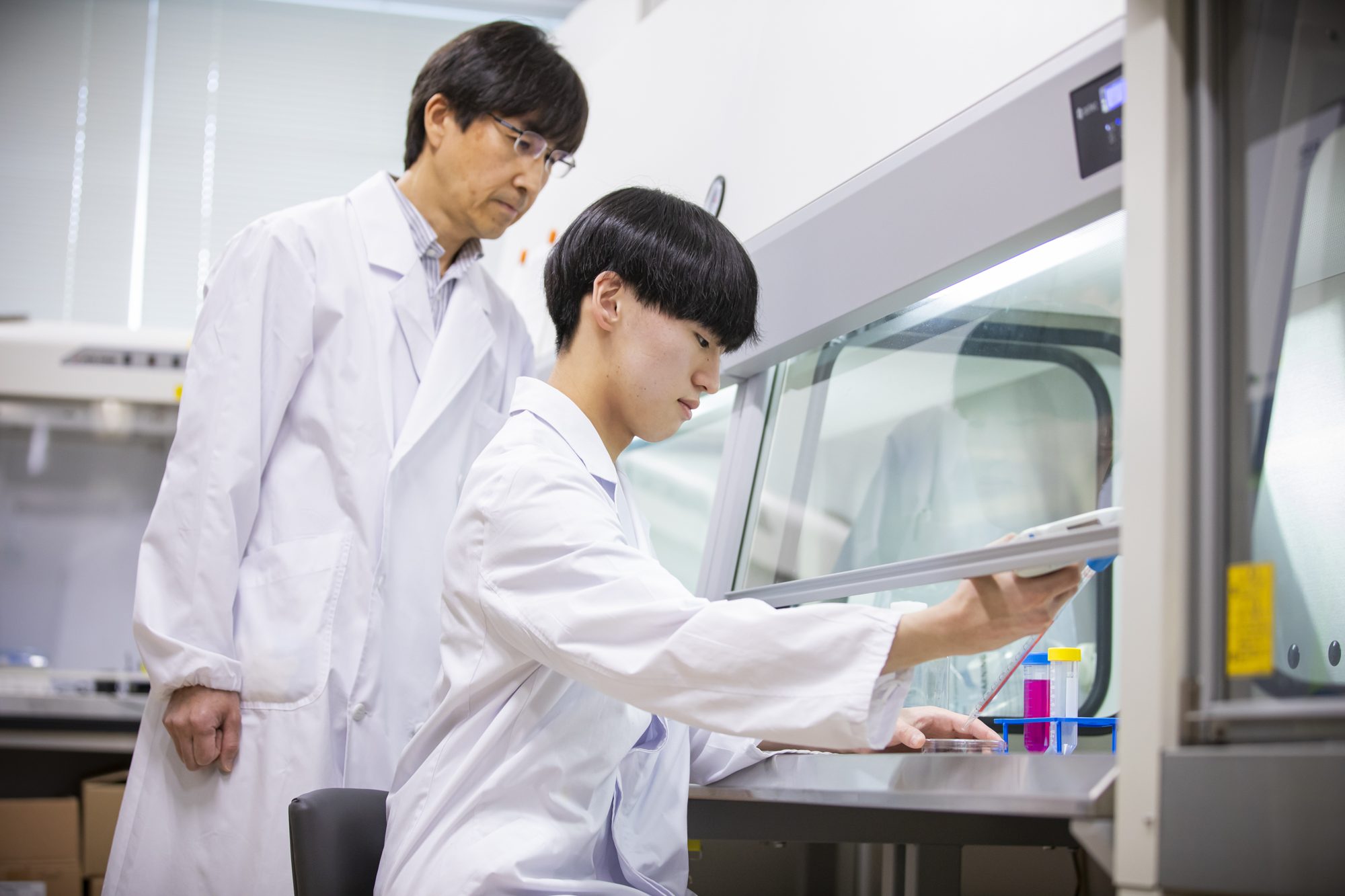 研究の様子